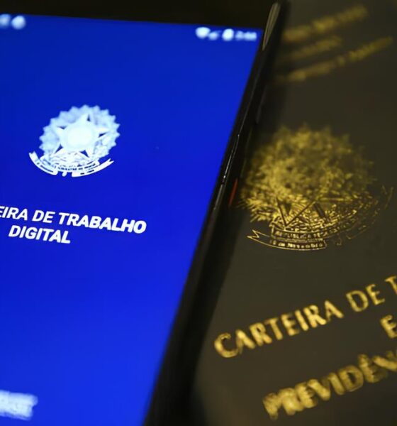 Mais de 600 Vagas Inclusivas: Como o Seconci-SP Está Redefinindo o Futuro do Trabalho no Brasil 13 Mais de 600 Vagas Inclusivas Como o Seconci SP Est Redefinindo o Futuro do Trabalho no Brasil