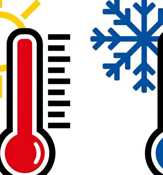 Nublado e Incerto: O Dia em que Hortolândia (SP) Desafiou o Clima – Tudo o Que Você Precisa Saber 13 Nublado e Incerto O Dia em que Hortol ndia SP Desafiou o Clima Tudo o Que Voc Precisa Saber
