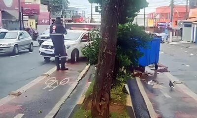 O Caso do Beb Encontrado em um Cont iner de Lixo Uma Trag dia Que Abala Hortol ndia
