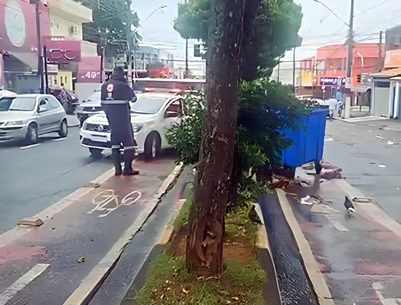 O Caso do Beb Encontrado em um Cont iner de Lixo Uma Trag dia Que Abala Hortol ndia