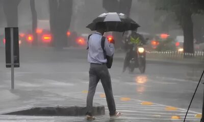 O Dia em que Hortol ndia Dan ou sob as Nuvens Uma Hist ria de Chuva Temperatura e Previs es