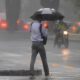 O Dia em que Hortol ndia Dan ou sob as Nuvens Uma Hist ria de Chuva Temperatura e Previs es