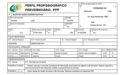 O Futuro do RH Est Aqui Por Que a IBM Quer Voc para Transformar o PPP