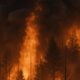 O Que Est Em Chamas Al m da Mata Campinas e Regi o Preparam se Para a Maior Discuss o Ambiental do Brasil