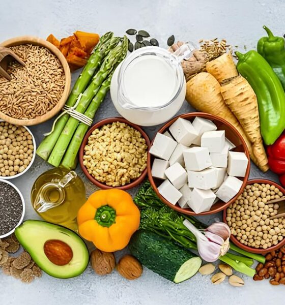 Oportunidade Única: Como um Aprendiz na Maxsoy Alimentos Pode Transformar Sua Carreira 13 Oportunidade nica Como um Aprendiz na Maxsoy Alimentos Pode Transformar Sua Carreira