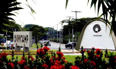 Por Que a Decis o da Unicamp Sobre Cotas Identit rias Est Dividindo Opini es no Brasil