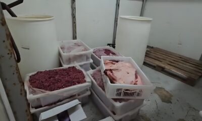 Quando a Porta do Frigor fico se Abriu O Esc ndalo das 38 Toneladas de Carne Podre que Chocou S o Paulo