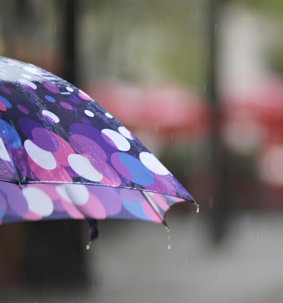 Quando o Céu se Abre: Como as Tempestades de Abril Estão Moldando a Rotina de Hortolândia 13 Quando o C u se Abre Como as Tempestades de Abril Est o Moldando a Rotina de Hortol ndia