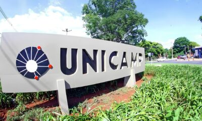 Um Fen meno Celestial um Desafio Digital e uma Discuss o Social Como a Lua Rosa o TikTok e Cotas Trans Redefinem o Brasil de 2025