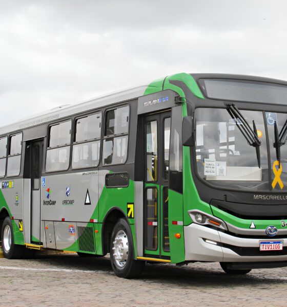 Ônibus Amarelos Contra o Silêncio no Trânsito: Como Campinas Está Transformando Rodas em Símbolos de Vida 13 nibus Amarelos Contra o Sil ncio no Tr nsito Como Campinas Est Transformando Rodas em S mbolos de Vida