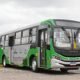 nibus Amarelos Contra o Sil ncio no Tr nsito Como Campinas Est Transformando Rodas em S mbolos de Vida