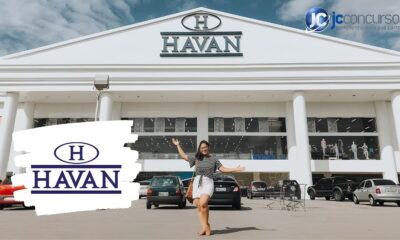 194 Vagas na Havan A Oportunidade Que Voc Procurava Est Aqui Descubra Como Garantir a Sua