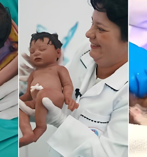 A Fascinante Indústria das Bonecas Reborn: Quando a Arte Encontra o Realismo Extremo 13 A Fascinante Ind stria das Bonecas Reborn Quando a Arte Encontra o Realismo Extremo