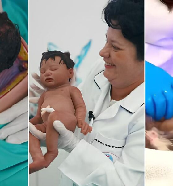 Beb s Reborn A Fascinante Arte de Criar Vidas que N o Respiram
