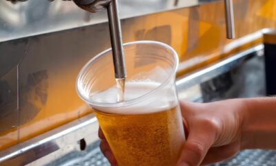 Brew Festival Onde Cerveja Cultura e Divers o se Encontram em Um Fim de Semana Inesquec vel