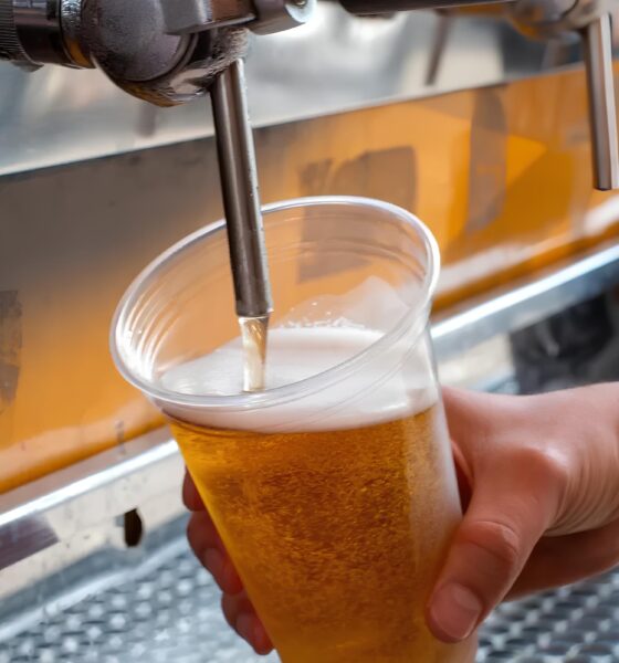 Brew Festival: Onde Cerveja, Cultura e Diversão se Encontram em Um Fim de Semana Inesquecível 13 Brew Festival Onde Cerveja Cultura e Divers o se Encontram em Um Fim de Semana Inesquec vel