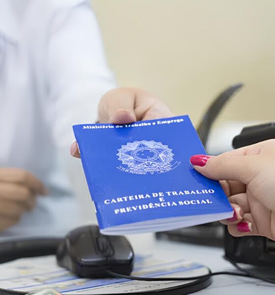 Campinas: A Terceira Força do Emprego em São Paulo ou Um Alerta para o Futuro? 13 Campinas A Terceira For a do Emprego em S o Paulo ou Um Alerta para o Futuro