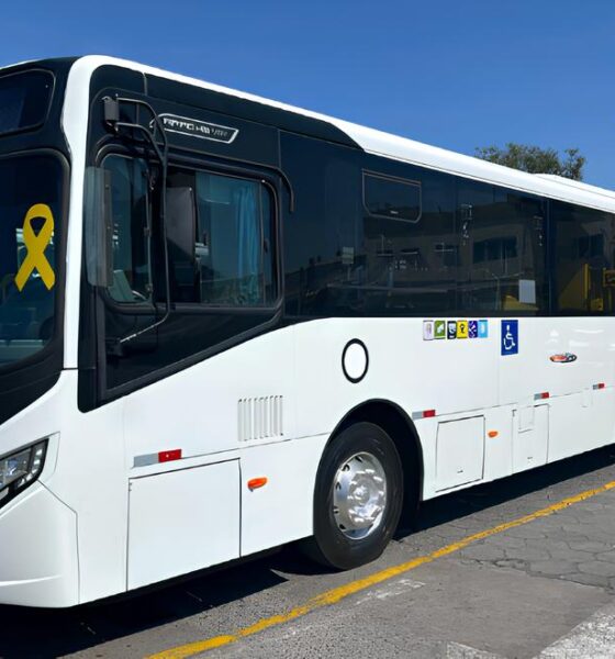 Campinas Renova Sua Frota: Como 50 Novos Ônibus Estão Transformando a Mobilidade Urbana na Cidade 14 Campinas Renova Sua Frota Como 50 Novos nibus Est o Transformando a Mobilidade Urbana na Cidade
