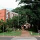 Como Transformar Dados Educacionais em Oportunidades A Bolsa de Treinamento T cnico da Unicamp Que Pode Mudar Sua Trajet ria