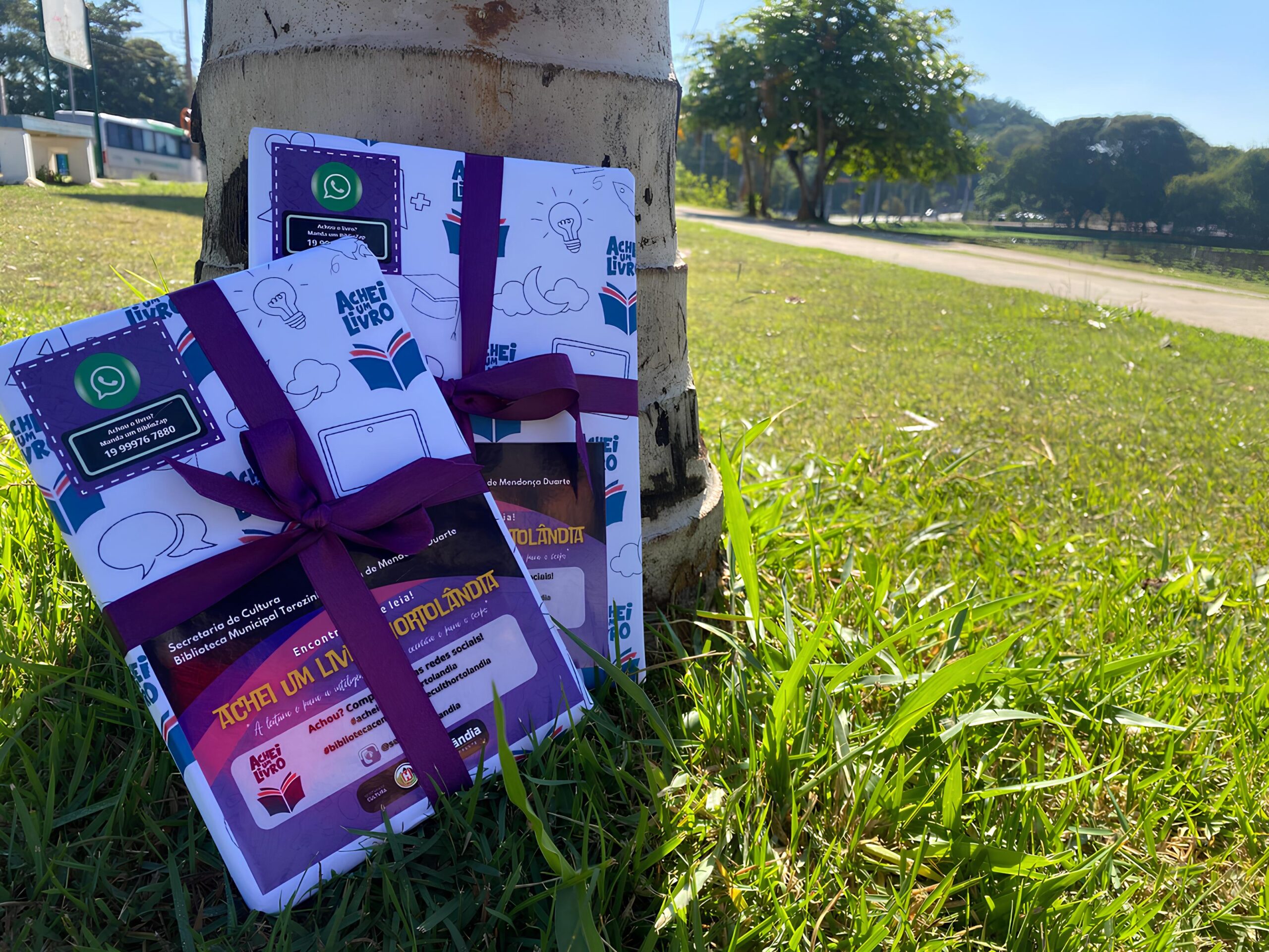 Como a Literatura Invadiu a Lagoa de Hortolândia: A História Por Trás do Projeto Achei um Livro 12 Como a Literatura Invadiu a Lagoa de Hortol ndia A Hist ria Por Tr s do Projeto Achei um Livro scaled