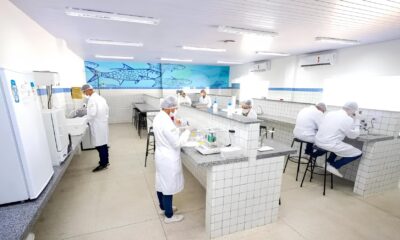 Como o Piau Est Redefinindo a Educa o no Brasil A Revolu o Silenciosa que Voc N o Viu nos Jornais