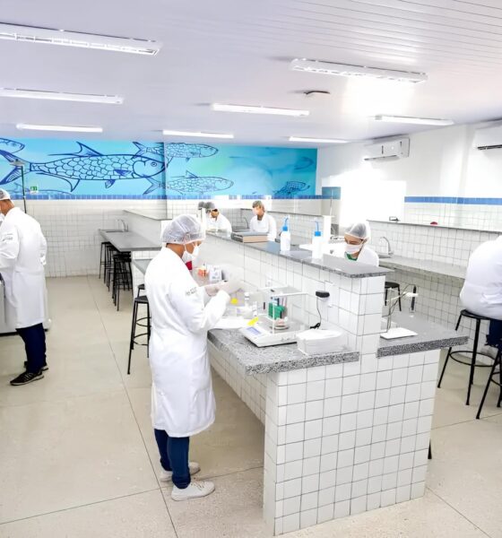 Como o Piauí Está Redefinindo a Educação no Brasil: A Revolução Silenciosa que Você Não Viu nos Jornais 13 Como o Piau Est Redefinindo a Educa o no Brasil A Revolu o Silenciosa que Voc N o Viu nos Jornais