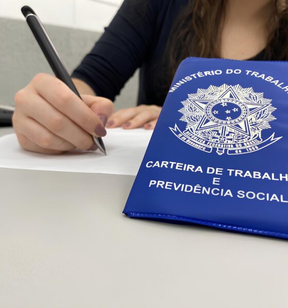 Conferente de Logística em Sumaré: As 10 Vagas Que Podem Mudar Sua Trajetória Profissional 13 Conferente de Log stica em Sumar As 10 Vagas Que Podem Mudar Sua Trajet ria Profissional
