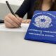 Conferente de Log stica em Sumar As 10 Vagas Que Podem Mudar Sua Trajet ria Profissional