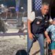 Entre a Coragem e a Dor A Hist ria do Pe o Que Sobreviveu ao Touro em Hortol ndia