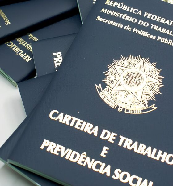 Feirão de Empregos em Campinas: A Oportunidade Que Você Não Pode Perder Está Aqui 14 Feir o de Empregos em Campinas A Oportunidade Que Voc N o Pode Perder Est Aqui