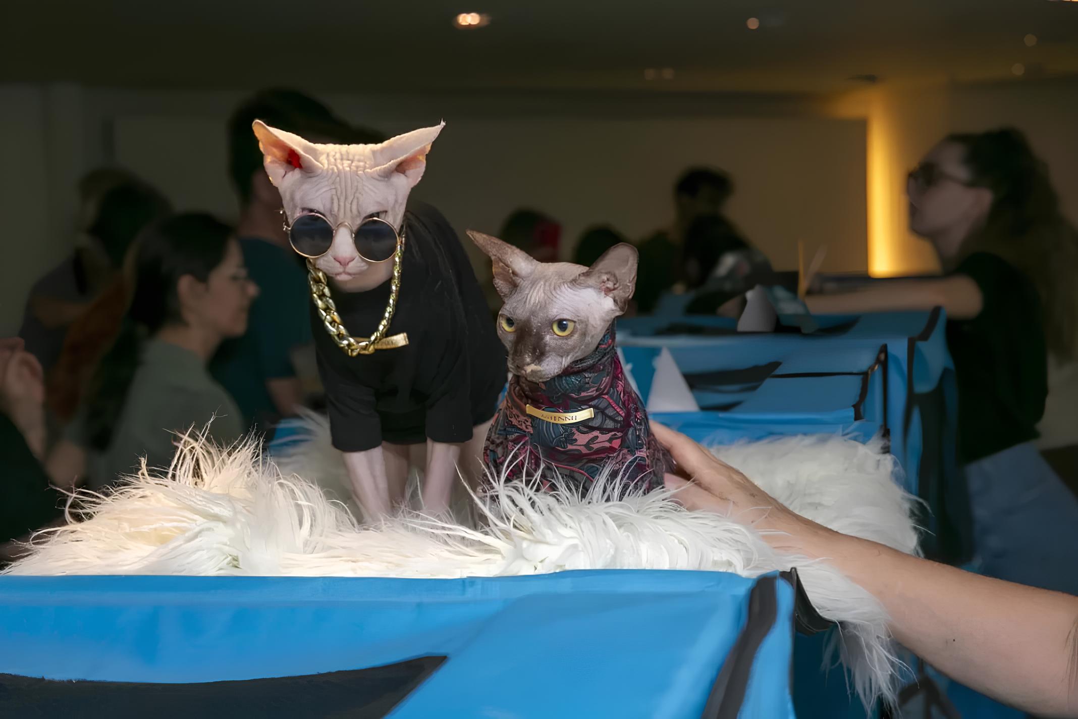 Gato Pelado e Felino Gigante? Shopping Recebe Exposição de Raças Exóticas que Promete Encantar Pessoas de Todas as Idades 12