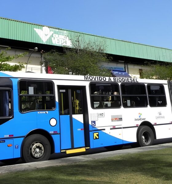 Gratuidade nos Ônibus em Campinas: Uma Nova Era de Inclusão no Transporte Público 13 Gratuidade nos nibus em Campinas Uma Nova Era de Inclus o no Transporte P blico