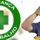 Hortol ndia A Cidade Que Cresceu Com Seus Moradores Um Caso de Sucesso Na Regi o Metropolitana de Campinas