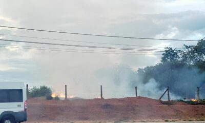 Hortol ndia Contra as Chamas A Campanha que Pode Salvar a Cidade E o Planeta