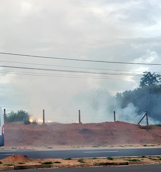 Hortolândia Contra as Chamas: A Campanha que Pode Salvar a Cidade – E o Planeta 13 Hortol ndia Contra as Chamas A Campanha que Pode Salvar a Cidade E o Planeta