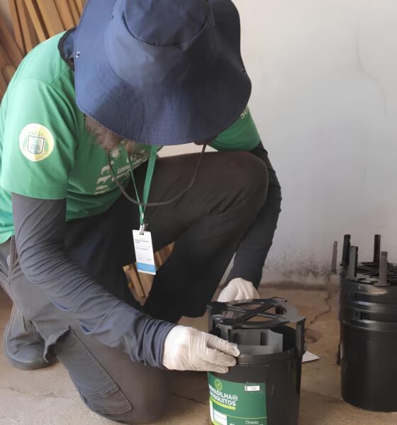 Hortolândia Contra o Aedes: Uma Batalha Silenciosa e Mortal 13 Hortol ndia Contra o Aedes Uma Batalha Silenciosa e Mortal