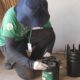 Hortol ndia Contra o Aedes Uma Batalha Silenciosa e Mortal