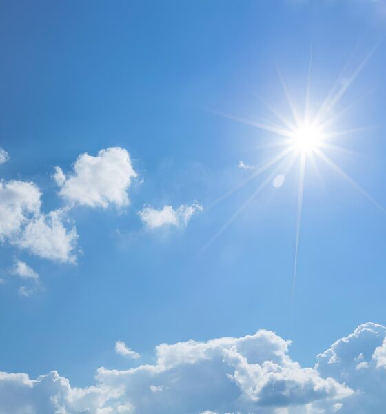 Hortol ndia Sob o C u de Maio Um Dia de Contrastes e Belezas Naturais
