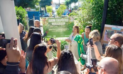 Jardim Terap utico Querubim O Futuro da Sa de em Hortol ndia Come a com Plantas Medicinais