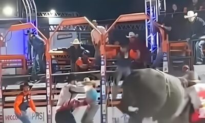 Milagre na Arena Como um Pe o Sobreviveu a um Arrast o de Touro no Rodeio de Hortol ndia