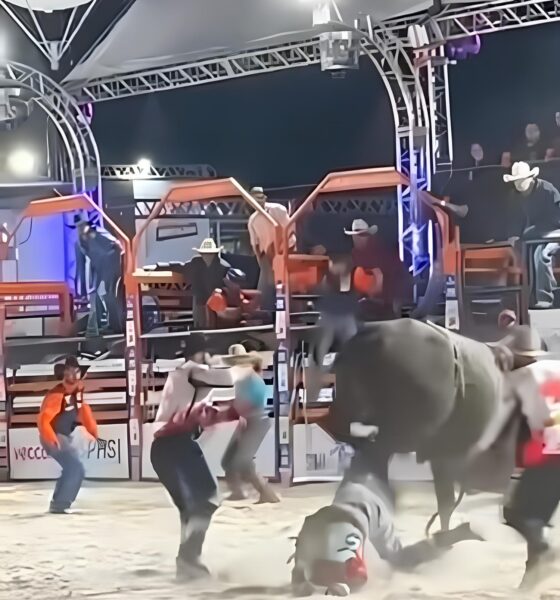 Milagre na Arena: Como um Peão Sobreviveu a um Arrastão de Touro no Rodeio de Hortolândia 13 Milagre na Arena Como um Pe o Sobreviveu a um Arrast o de Touro no Rodeio de Hortol ndia