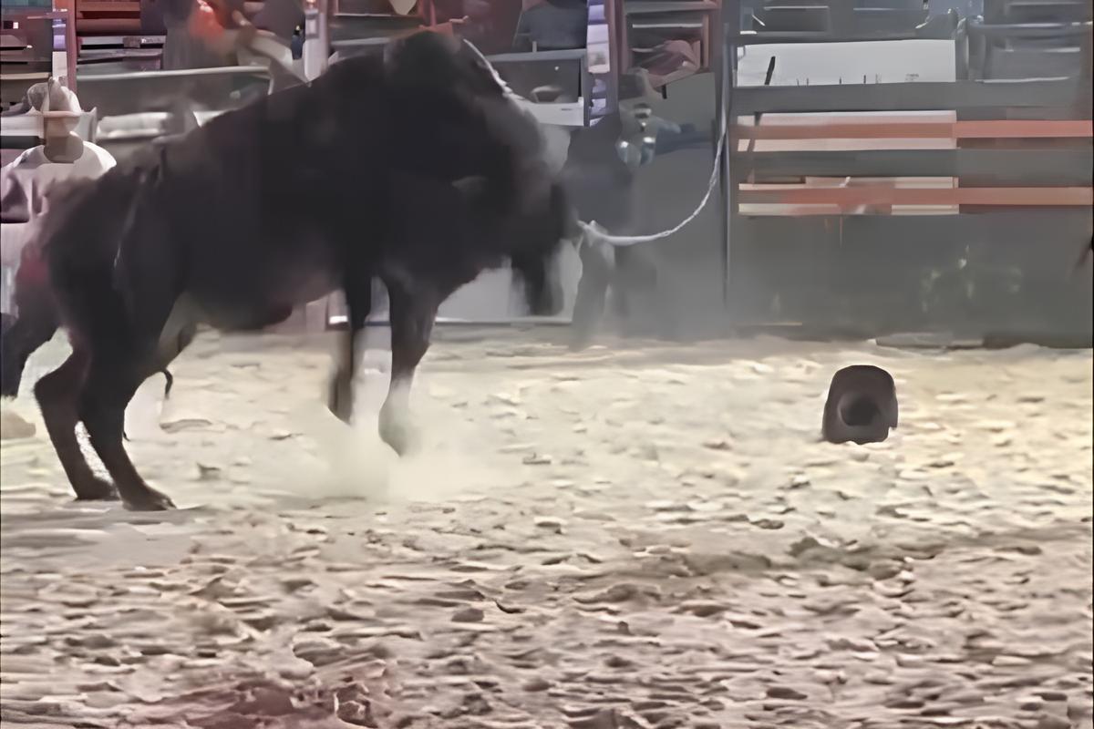 Momento de Horror em Arena de Rodeio: Peão é Pisoteado por Touro e Cena Choca Público 12 Momento de Horror em Arena de Rodeio Pe o Pisoteado por Touro e Cena Choca P blico