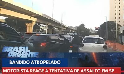 Motorista em Americana A Oportunidade Que Est Mudando Vidas no Mercado de Log stica