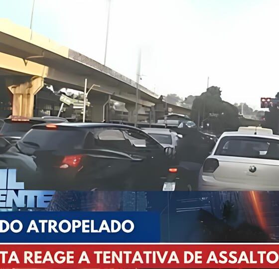 Motorista em Americana: A Oportunidade Que Está Mudando Vidas no Mercado de Logística 14 Motorista em Americana A Oportunidade Que Est Mudando Vidas no Mercado de Log stica