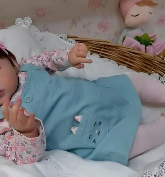 Mulher é Presa por Furtar Bebê Reborn em Shopping de São Paulo: O Caso que Intriga e Divide Opiniões 13 Mulher Presa por Furtar Beb Reborn em Shopping de S o Paulo O Caso que Intriga e Divide Opini es
