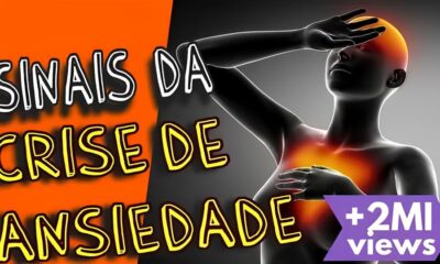 O Alerta Silencioso Raiva em Morcegos P e Hortol ndia em Estado de Preven o