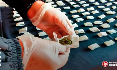 O Caso do Jovem e os 6 Kg de Drogas Como Uma Abordagem Rotineira Revelou Um Imp rio Clandestino