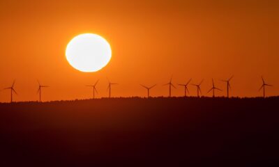 O Dia Ensolarado em Hortol ndia SP Um Convite Irresist vel para Aproveitar ao M ximo