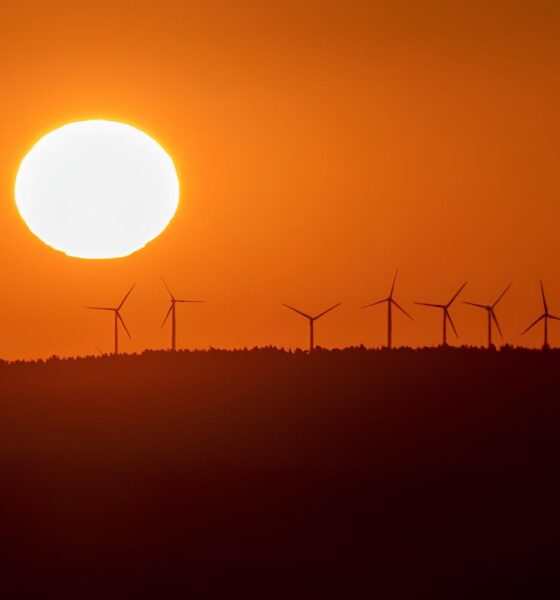 O Dia Ensolarado em Hortol ndia SP Um Convite Irresist vel para Aproveitar ao M ximo