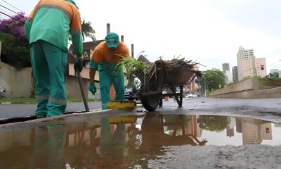 O Dia do Gari em Campinas Celebrando os Her is An nimos que Mant m a Cidade Viva